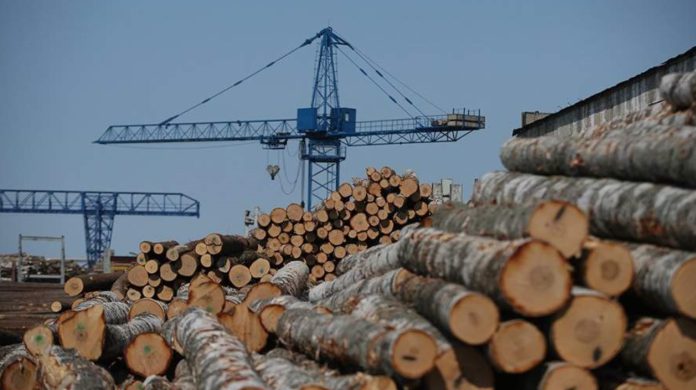روس سے لکڑی نہیں خریدیں گے، جاپان کا اعلان