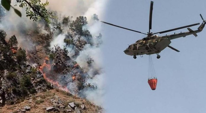 بلوچستان کے جنگلات میں لگی آگ کے سامنے حکومت پاکستان بے بس