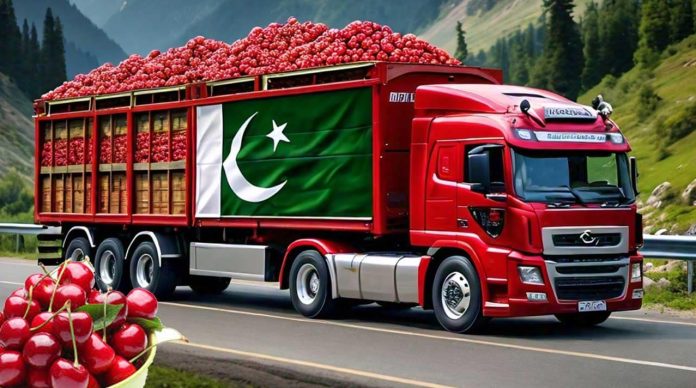 The first batch of cherries from Pakistan reached China