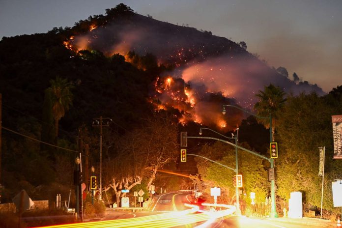 Los Angeles Wildfires