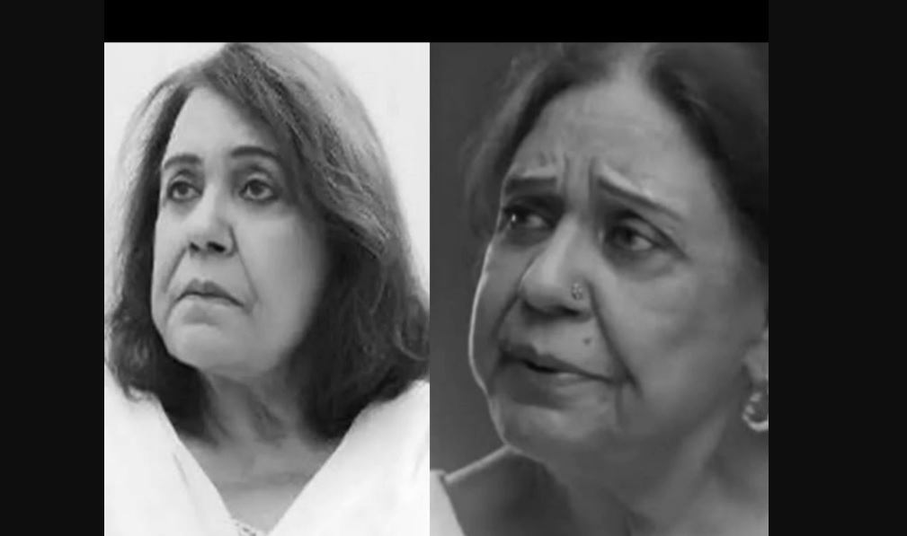 senior actress ayesha khan