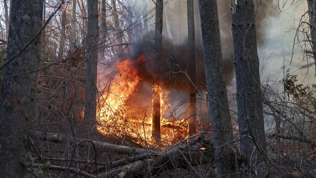 Wildfires