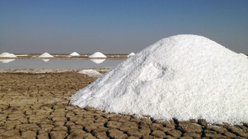 Rann of Kutch