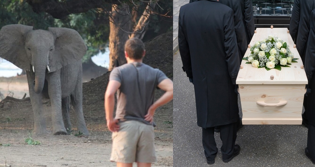 elephant attack