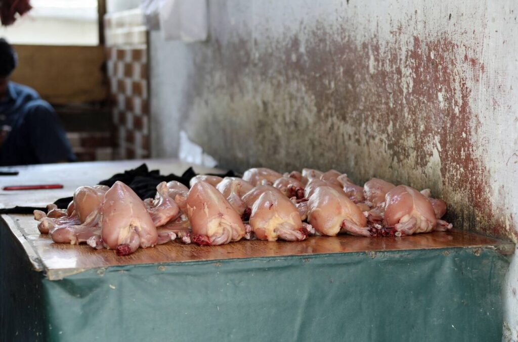 chicken