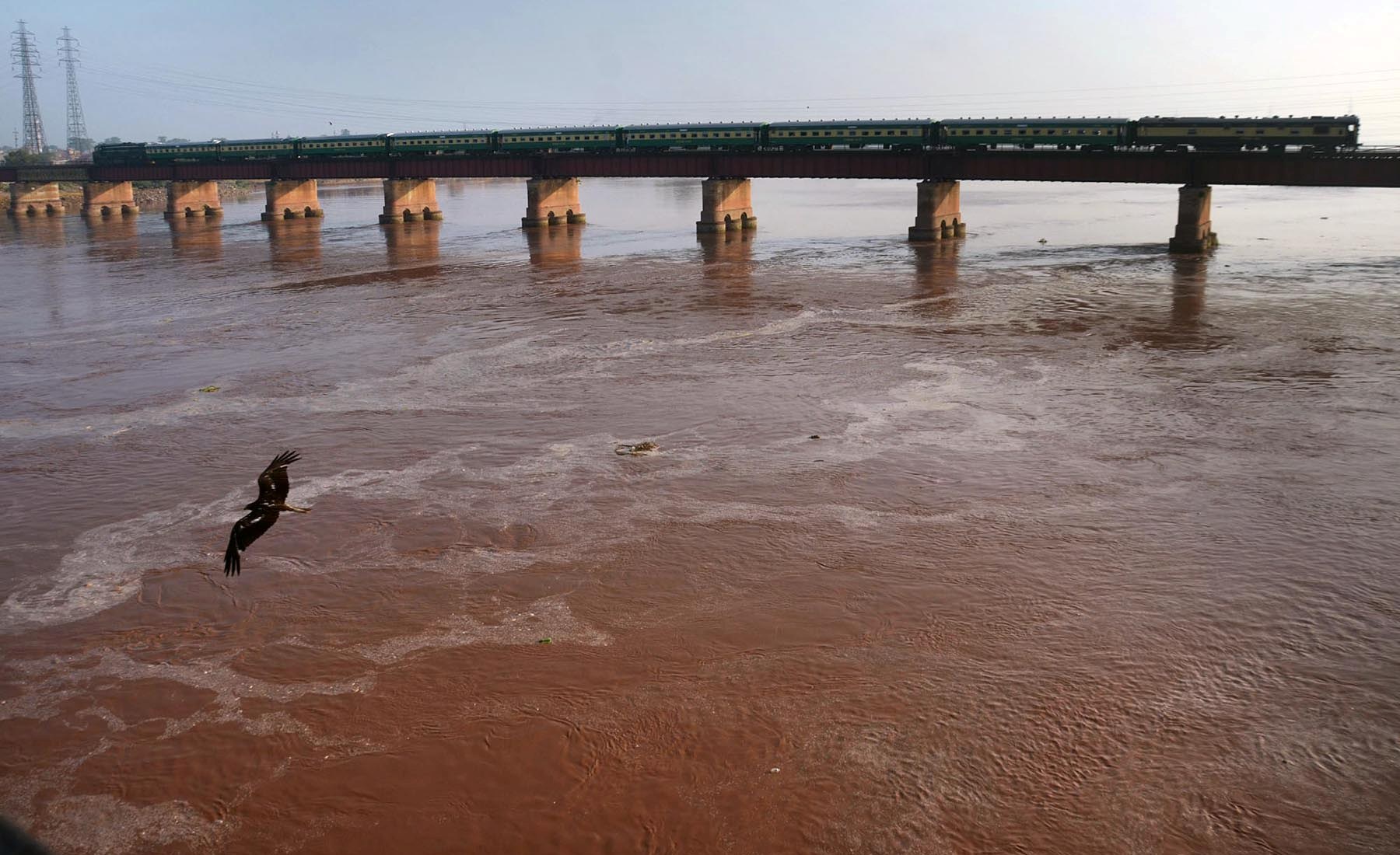 Ravi river