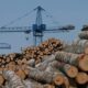 روس سے لکڑی نہیں خریدیں گے، جاپان کا اعلان
