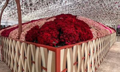 سعودی عرب میں 84 ہزار پھولوں سے سجے گل دستے سے ورلڈ ریکارڈ قائم